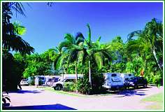 Tropical Hibiscus Caravan Park - Port Augusta Accommodation 0
