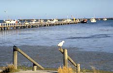 Port Macdonnell SA Port Augusta Accommodation