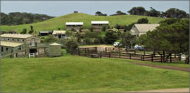 Ace Hi Riding Ranch - Port Augusta Accommodation 0
