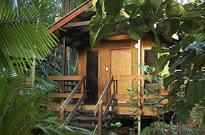 Cape Tribulation QLD Port Augusta Accommodation