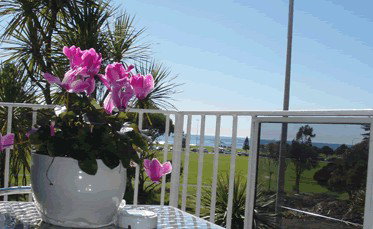 Beach Park Motor Inn - Port Augusta Accommodation 3