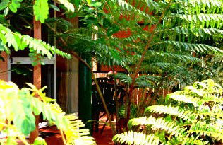 Mission Beach Rainforest Motel - Port Augusta Accommodation 3