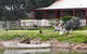 Stonewell Cottages And Vineyards - thumb 0
