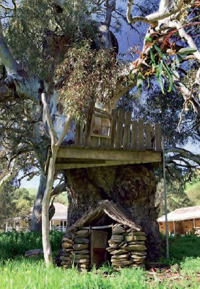 Brooklyn Farm Bed And Breakfast - Port Augusta Accommodation 8