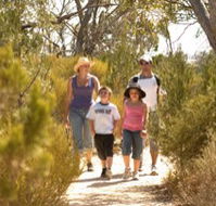 Long Island Caravan Park Cabins