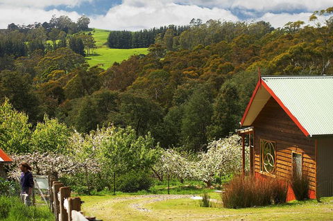 Elvenhome Farm Cottage - Port Augusta Accommodation 5
