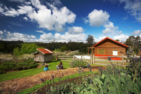Elvenhome Farm Cottage - Port Augusta Accommodation 6
