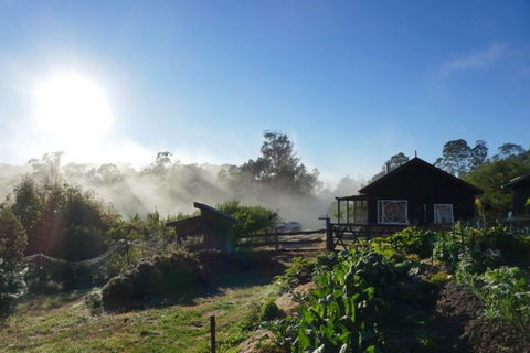 Elvenhome Farm Cottage - Port Augusta Accommodation 9