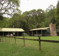 Tree Fern Lodge