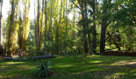Old England Accommodation - Port Augusta Accommodation 2