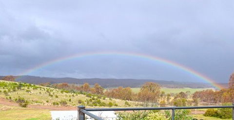 Tarrangower Holiday Home - Port Augusta Accommodation 5