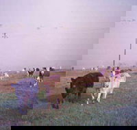 Seeview Farmstay