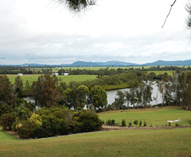 Bimbimbi Riverside Caravan Park - Port Augusta Accommodation 0