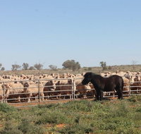 Pimpara Lake StationStay - Port Augusta Accommodation