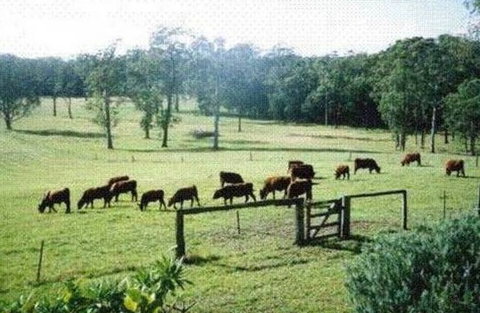 Bella Vista Cottage - Port Augusta Accommodation 1