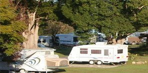 Bellinger River Tourist Park - Port Augusta Accommodation 3