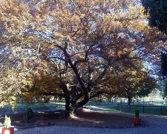 Lankeys Creek NSW Port Augusta Accommodation