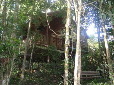 Adjinbilly Rainforest Retreat Cabins - Port Augusta Accommodation 0