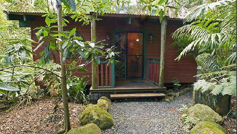Springbrook Lyrebird Retreat - Port Augusta Accommodation 0
