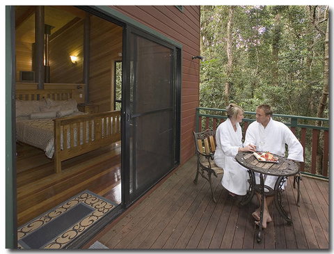 Springbrook Lyrebird Retreat - Port Augusta Accommodation 1