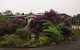 The Cottage At The Sanctuary Bed And Breakfast - thumb 1
