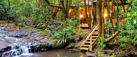 The Mouses House - Rainforest Retreat - Port Augusta Accommodation 0