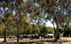 Barracrab Caravan Park - thumb 0