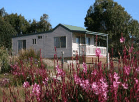 Daysy Hill Country Cottages - Port Augusta Accommodation 5