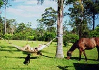 Clybucca NSW Port Augusta Accommodation