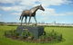 Racecourse Hotel Flemington - thumb 0