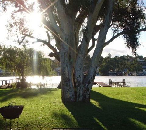 Eleven From The Left - Port Augusta Accommodation 1