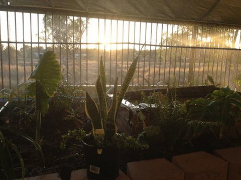 Cityside Accommodation | Mt Isa - Port Augusta Accommodation 5