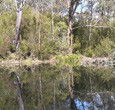 Sanctuary House Resort Motel - Healesville - Port Augusta Accommodation 5