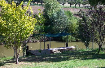 Colonial Inn Tamworth - Port Augusta Accommodation 3