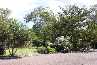 Colonial Inn Tamworth - Port Augusta Accommodation 4