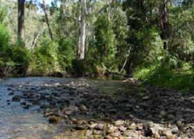 River Rest Country Cottage - Port Augusta Accommodation 0