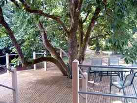 Magnolia House Marysville - Port Augusta Accommodation 0