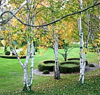 Villarett Gardens - Port Augusta Accommodation