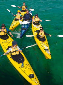 Bayplay Adventure Tours And Accommodation - Port Augusta Accommodation 0