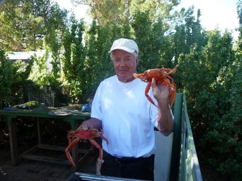 Cowell Foreshore Caravan Park & Holiday Units - Port Augusta Accommodation 4