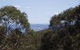 Tara At Mount Victoria - thumb 7