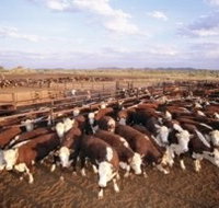 Bond Springs Outback Retreat - Port Augusta Accommodation