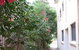 Waldorf Hornsby Residential Apartments - thumb 8