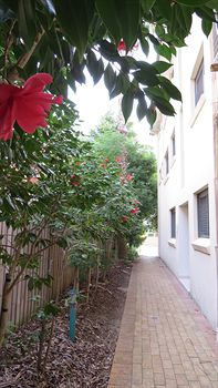 Waldorf Hornsby Residential Apartments - Port Augusta Accommodation 8