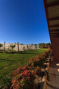De'Vine Escape - Port Augusta Accommodation 5