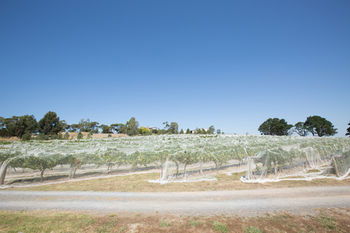 De'Vine Escape - Port Augusta Accommodation 12