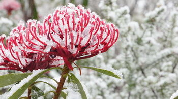 Valley Of The Waters B&B - Port Augusta Accommodation 12