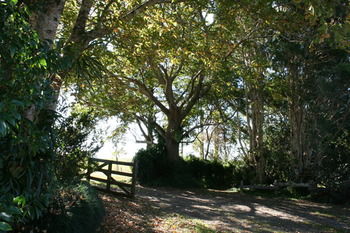 Maleny Mountain Retreat - Port Augusta Accommodation 2