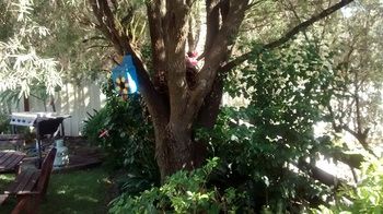 Centabrook Motor Inn - Port Augusta Accommodation 12