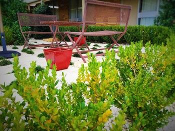 Best Western Sanctuary Inn - Port Augusta Accommodation 24